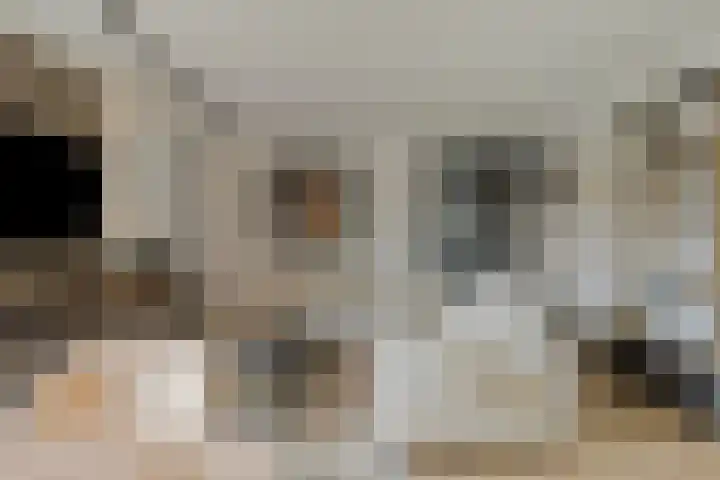 Vincent van Goghplein 115 Nuenen thumbnail 14