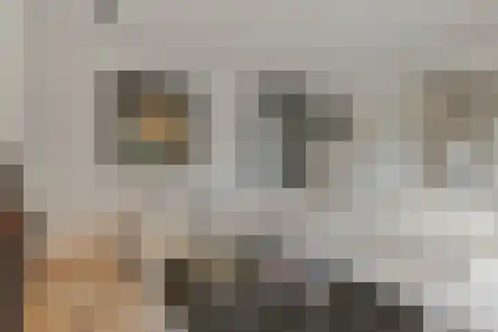 Vincent van Goghplein 115 Nuenen thumbnail 15