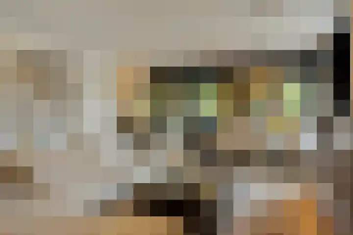 Vincent van Goghplein 115 Nuenen thumbnail 17