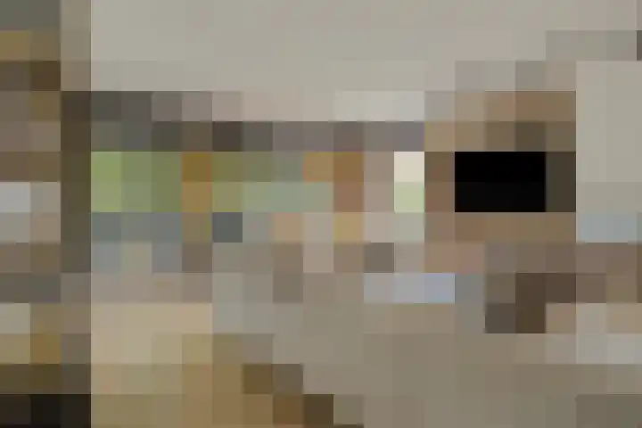 Vincent van Goghplein 115 Nuenen thumbnail 18