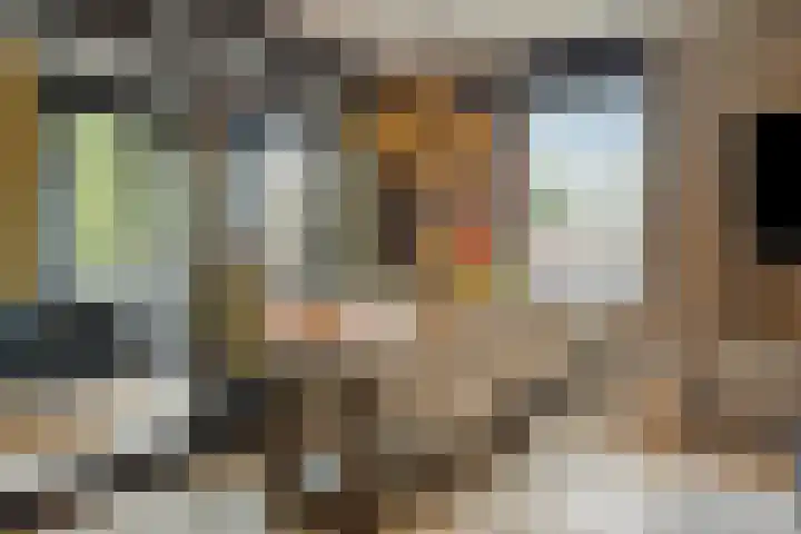 Vincent van Goghplein 115 Nuenen thumbnail 19