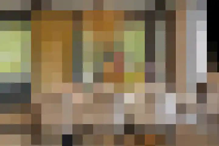 Vincent van Goghplein 115 Nuenen thumbnail 20