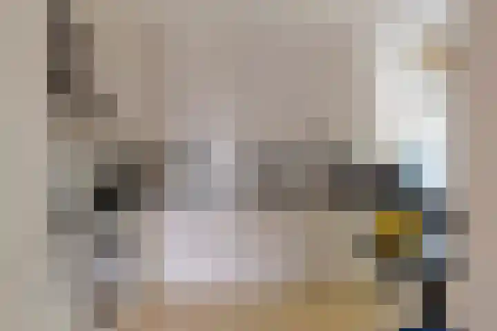 Vincent van Goghplein 115 Nuenen thumbnail 23