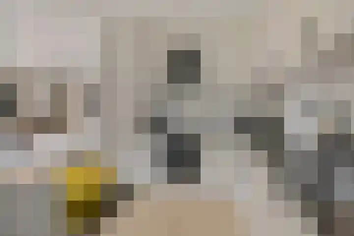 Vincent van Goghplein 115 Nuenen thumbnail 25