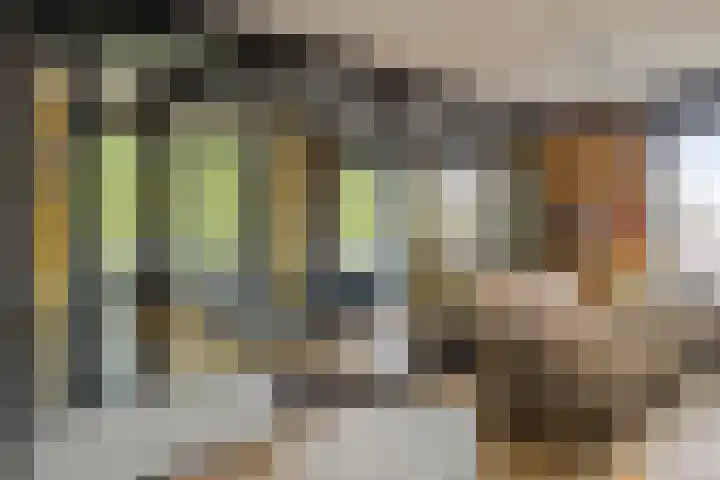 Vincent van Goghplein 115 Nuenen thumbnail 27