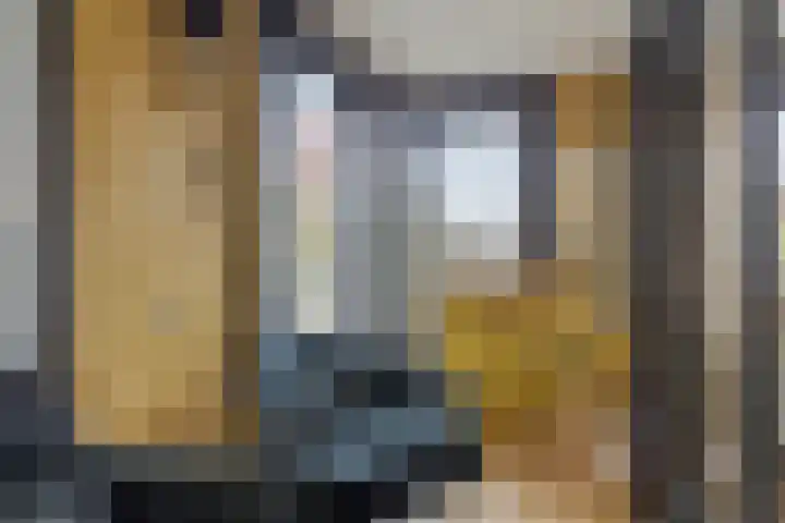 Vincent van Goghplein 115 Nuenen thumbnail 28