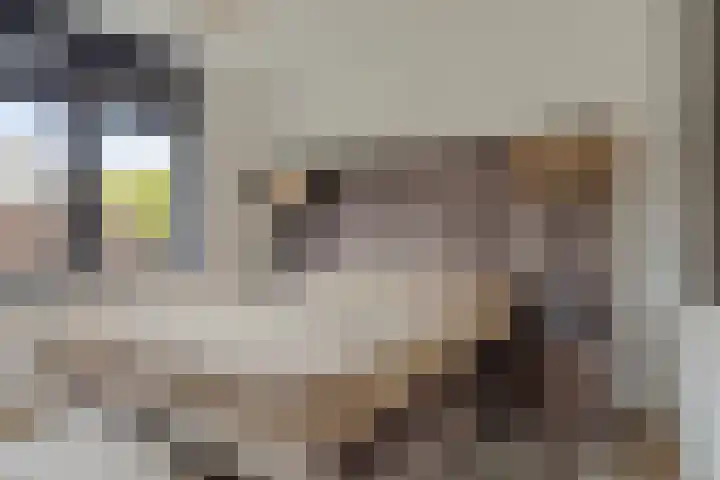 Vincent van Goghplein 115 Nuenen thumbnail 31