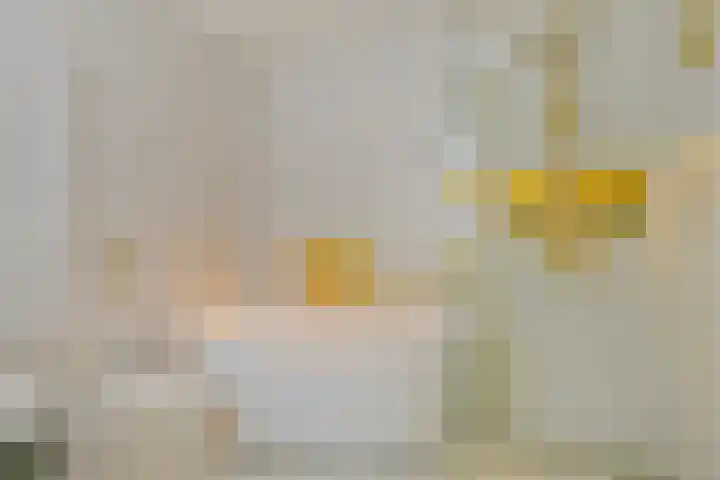Vincent van Goghplein 115 Nuenen thumbnail 33