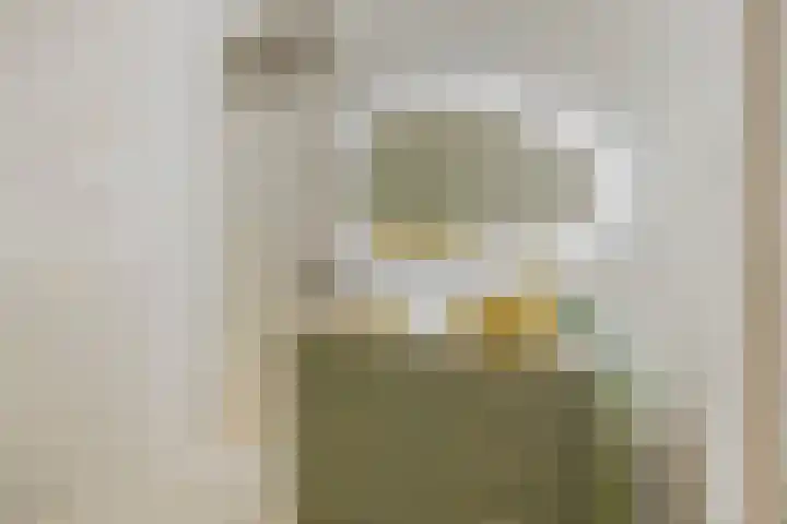 Vincent van Goghplein 115 Nuenen thumbnail 34