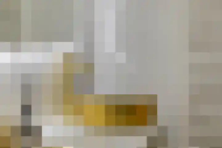 Vincent van Goghplein 115 Nuenen thumbnail 37