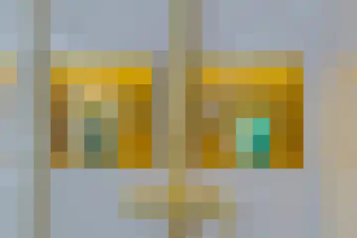 Vincent van Goghplein 115 Nuenen thumbnail 39