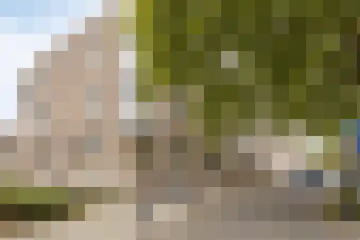 Vincent van Goghplein 115 Nuenen thumbnail 4