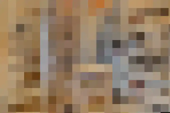 Vincent van Goghplein 115 Nuenen thumbnail 40