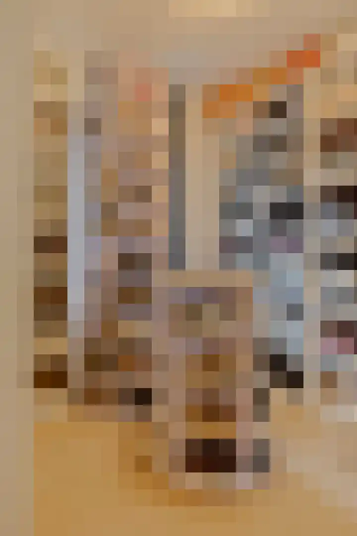 Vincent van Goghplein 115 Nuenen thumbnail 42