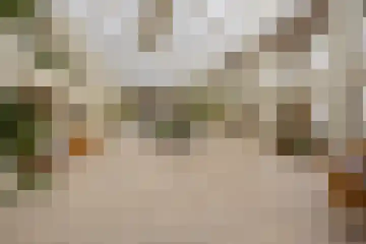 Vincent van Goghplein 115 Nuenen thumbnail 43
