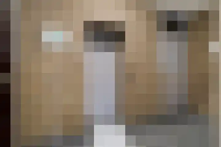 Vincent van Goghplein 115 Nuenen thumbnail 44