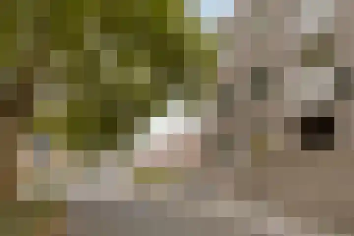 Vincent van Goghplein 115 Nuenen thumbnail 5