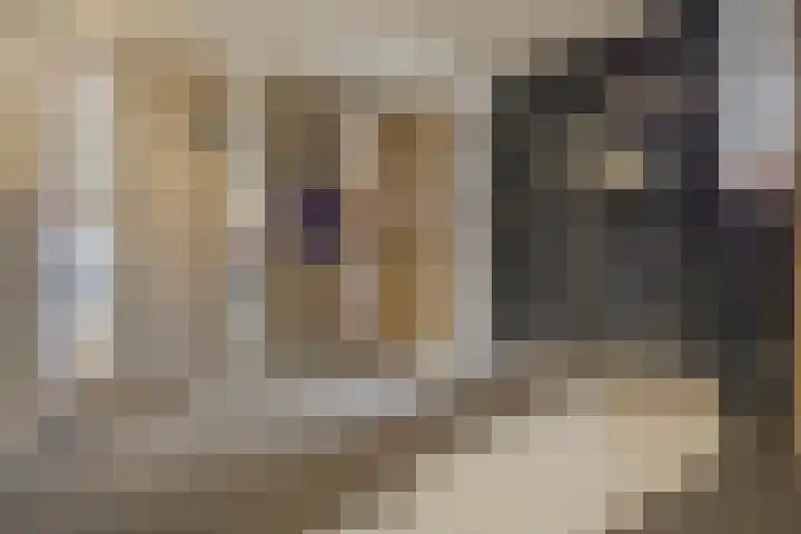 Vincent van Goghplein 115 Nuenen thumbnail 7