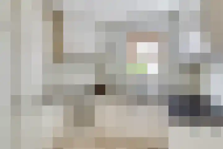 Vincent van Goghplein 12 Etten-Leur thumbnail 13