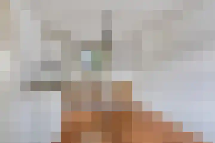 Vincent van Goghplein 12 Etten-Leur thumbnail 28