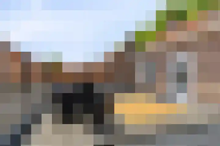 Vincent van Goghplein 12 Etten-Leur thumbnail 4