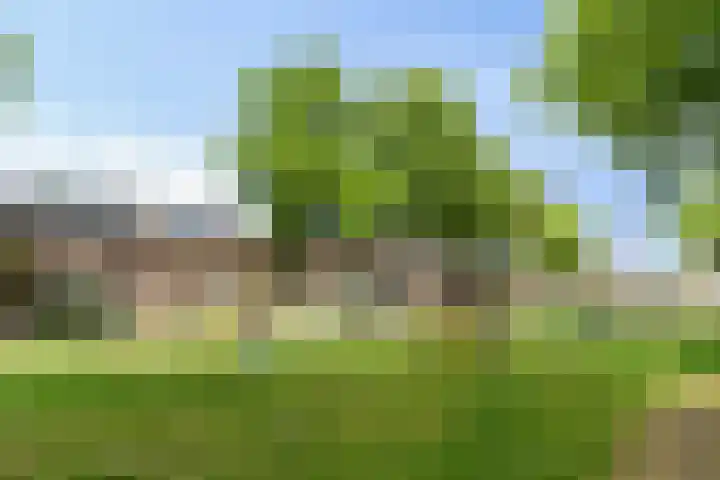 Vincent van Goghplein 12 Etten-Leur thumbnail 41