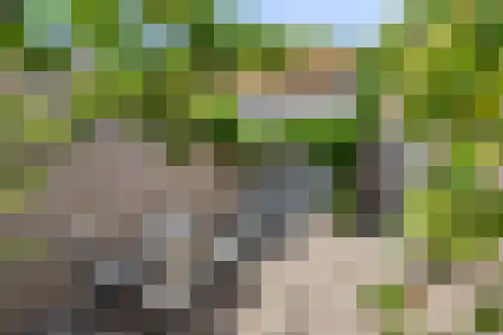 Vincent van Goghplein 12 Etten-Leur thumbnail 5