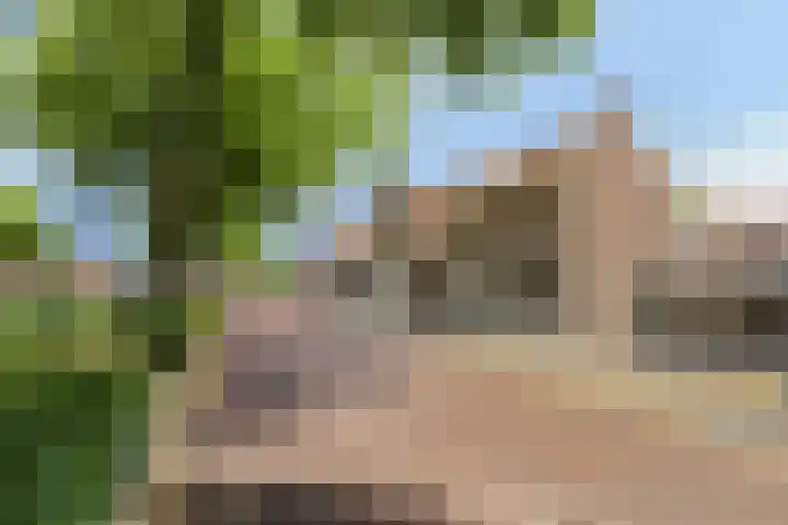 Vincent van Goghplein 12 Etten-Leur thumbnail 7