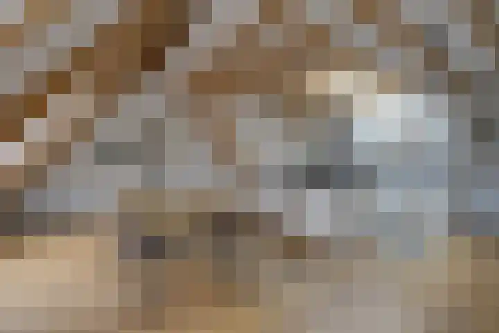 Vincent van Goghplein 18 A Etten-Leur thumbnail 11