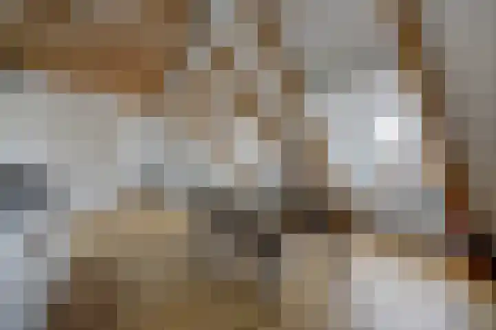 Vincent van Goghplein 18 A Etten-Leur thumbnail 12