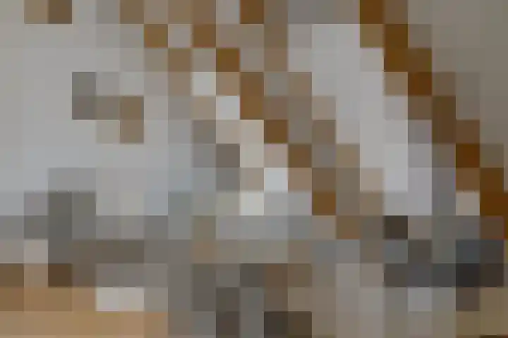 Vincent van Goghplein 18 A Etten-Leur thumbnail 15