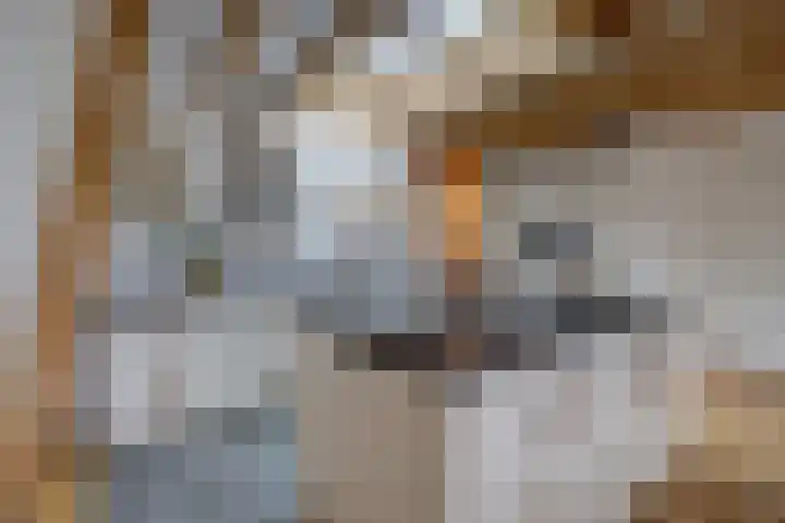 Vincent van Goghplein 18 A Etten-Leur thumbnail 19