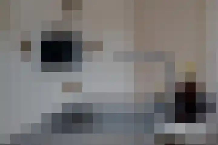 Vincent van Goghplein 18 A Etten-Leur thumbnail 20
