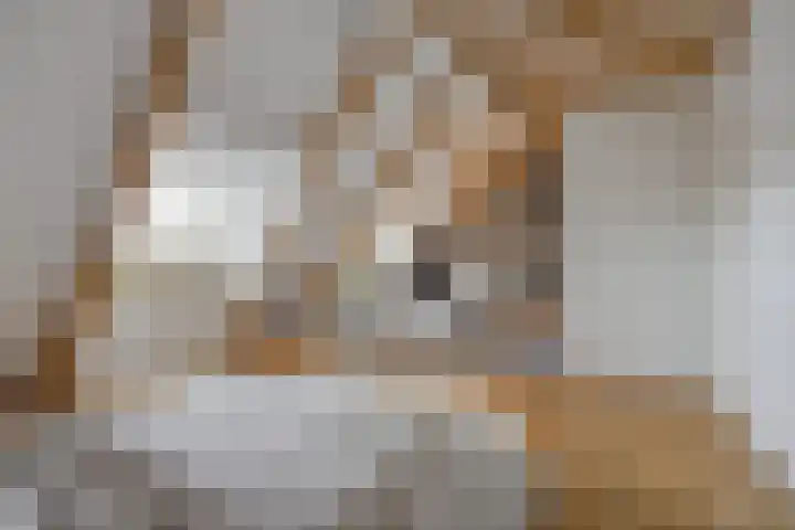 Vincent van Goghplein 18 A Etten-Leur thumbnail 26