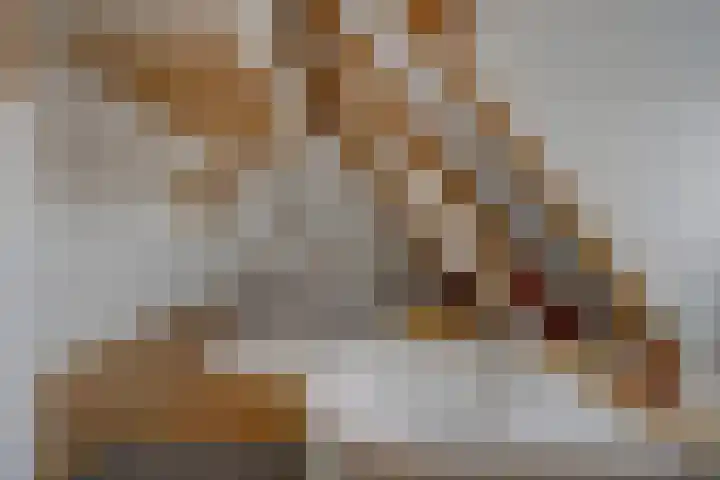 Vincent van Goghplein 18 A Etten-Leur thumbnail 29