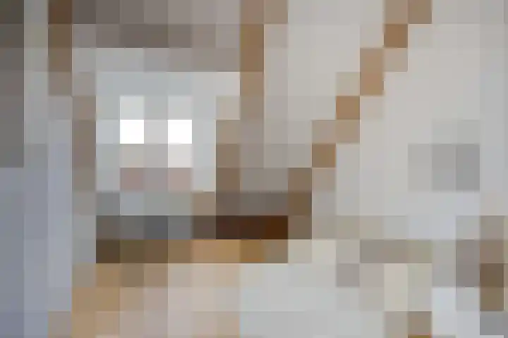 Vincent van Goghplein 18 A Etten-Leur thumbnail 33