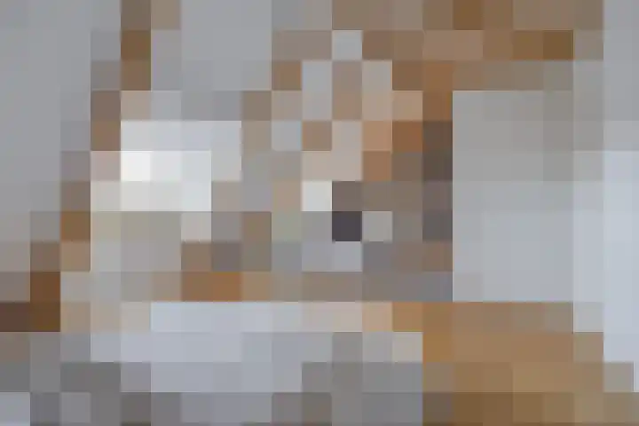 Vincent van Goghplein 18 A Etten-Leur thumbnail 4