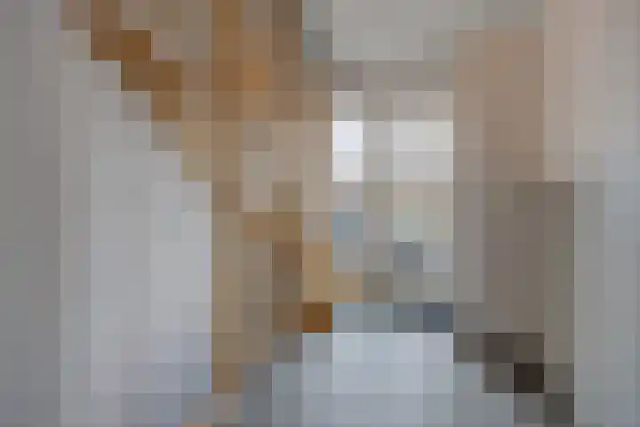 Vincent van Goghplein 18 A Etten-Leur thumbnail 6