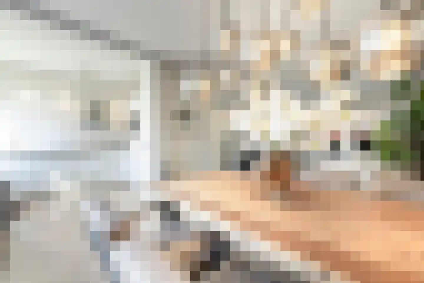 Vincent van Goghplein 4 Oud-Beijerland thumbnail 10