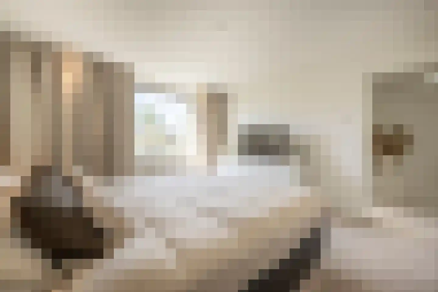 Vincent van Goghplein 4 Oud-Beijerland thumbnail 16