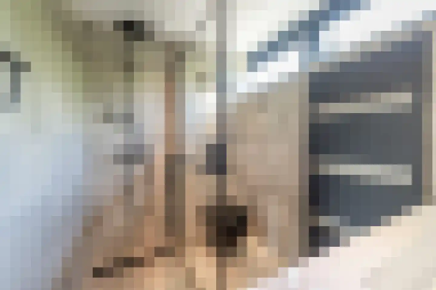 Vincent van Goghplein 4 Oud-Beijerland thumbnail 24
