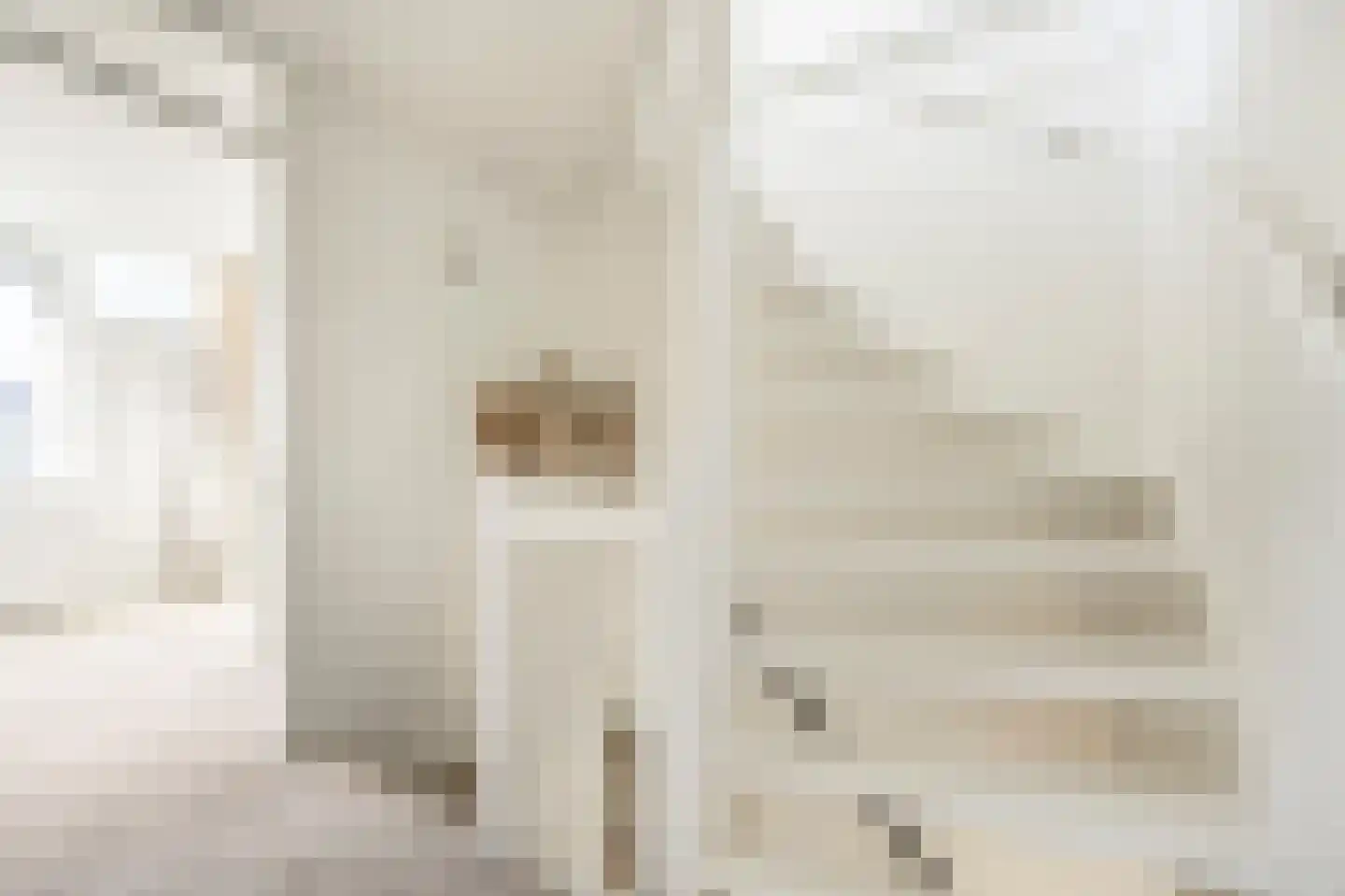 Vincent van Goghplein 4 Oud-Beijerland thumbnail 26
