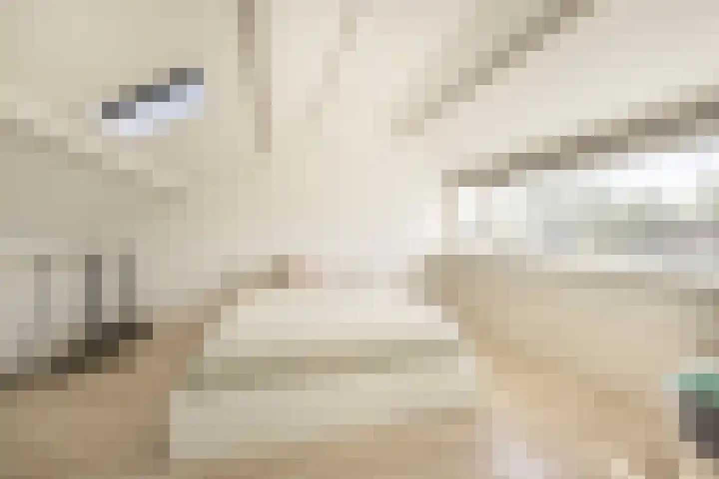 Vincent van Goghplein 4 Oud-Beijerland thumbnail 28