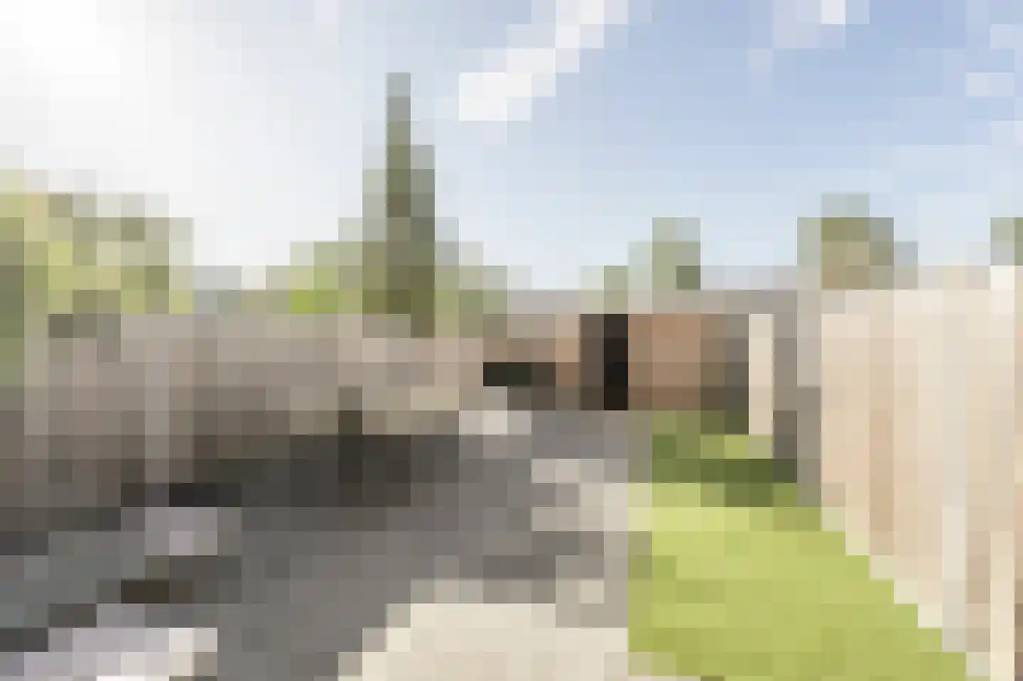 Vincent van Goghplein 4 Oud-Beijerland thumbnail 30