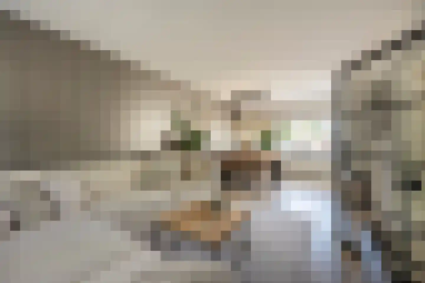 Vincent van Goghplein 4 Oud-Beijerland thumbnail 6