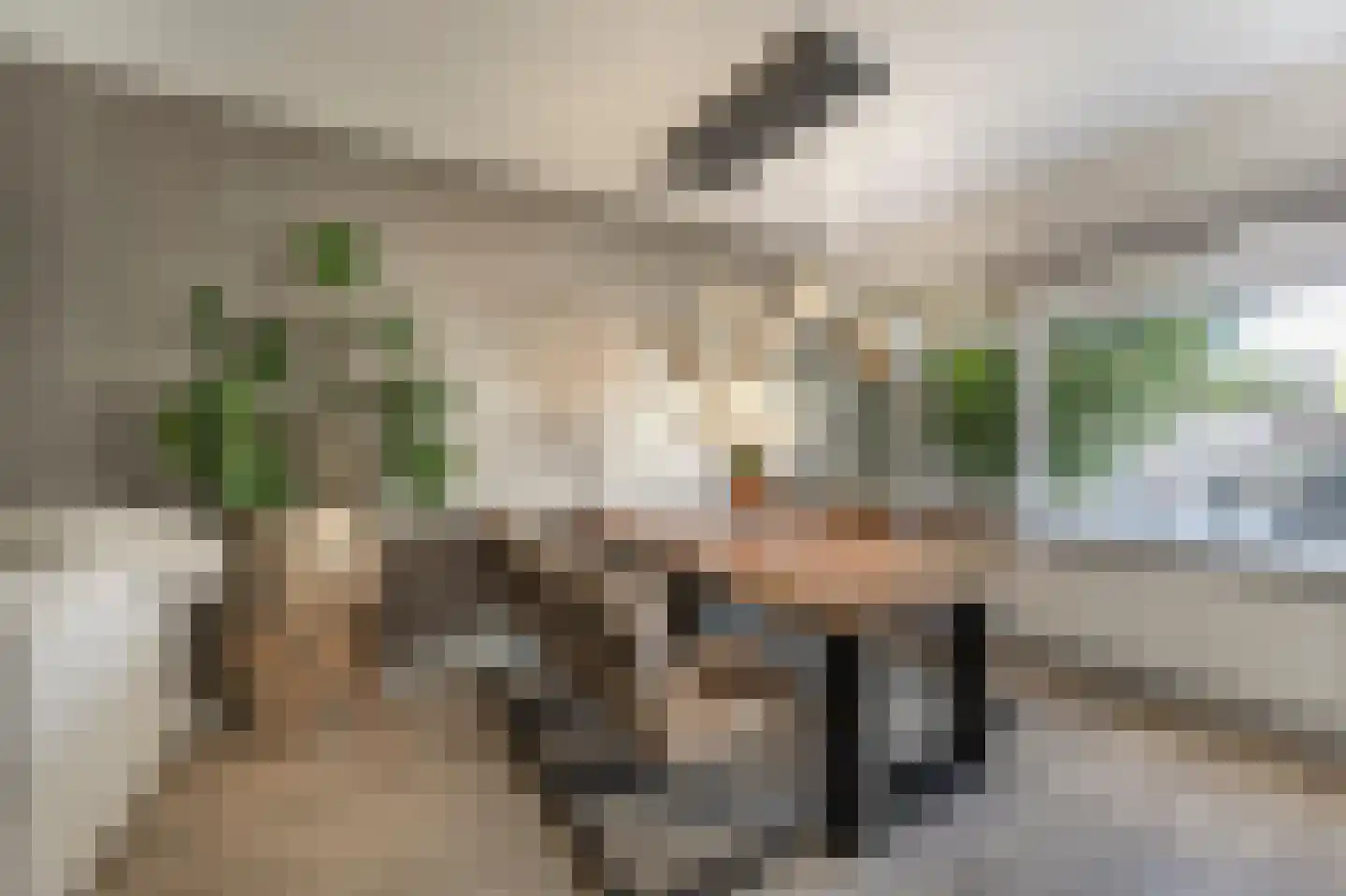 Vincent van Goghplein 4 Oud-Beijerland thumbnail 7