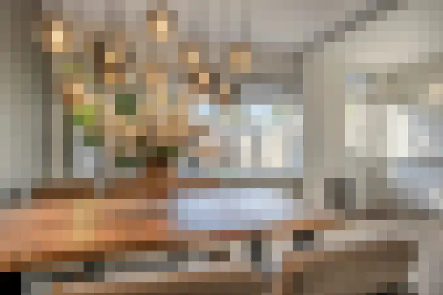 Vincent van Goghplein 4 Oud-Beijerland thumbnail 8