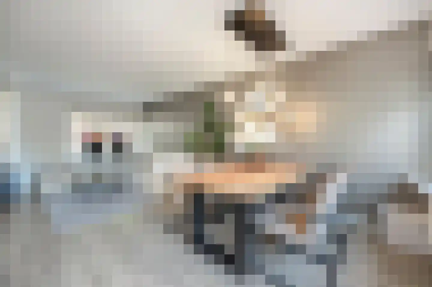 Vincent van Goghplein 4 Oud-Beijerland thumbnail 9