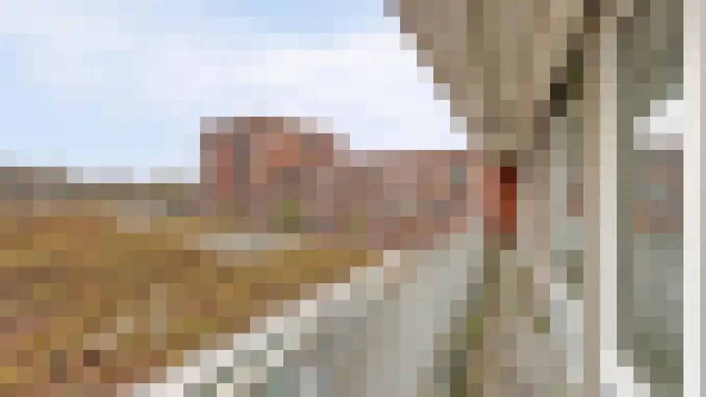 Vincent van Goghplein 48 Almelo thumbnail 19