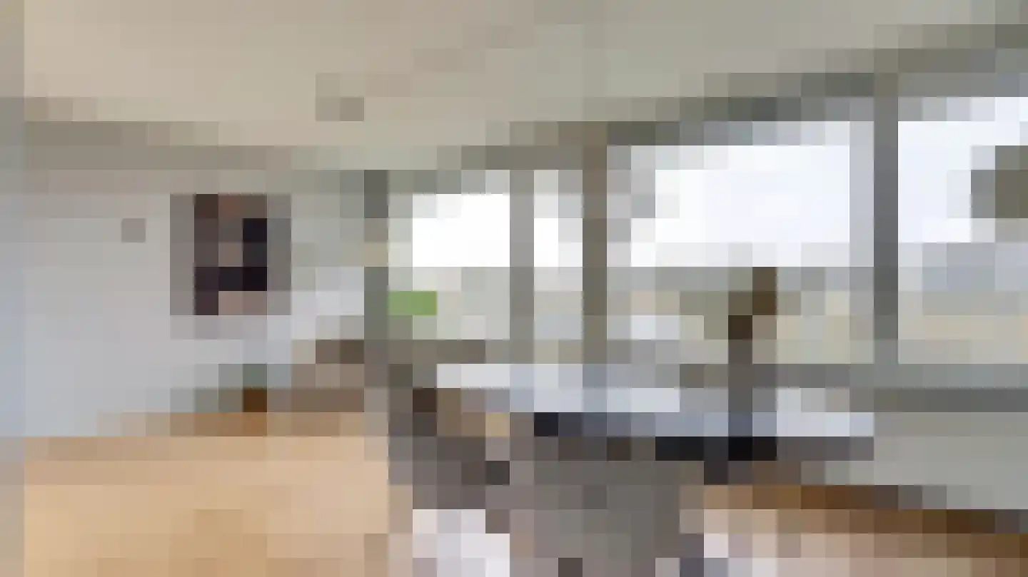 Vincent van Goghplein 48 Almelo thumbnail 4